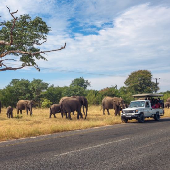 Golden Trails of Southern Africa Golden Trails of Southern Africa