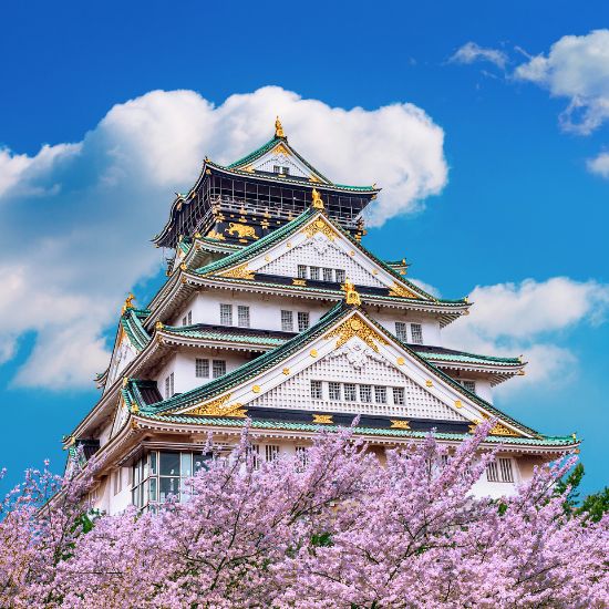 Magic of Spring in Japan Magic of Spring in Japan
